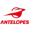 Toyota Antelopes (W)