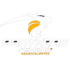 Panteras Aguascalientes (W)