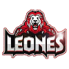 Leones de Santo Domingo