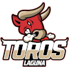 Toros Laguna