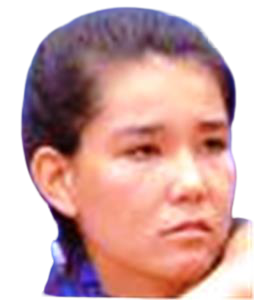 Julia Konishi Camargo Silva