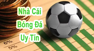 C&aacute;ch nhận diện nh&agrave; c&aacute;i c&aacute; độ uy t&iacute;n - Ảnh 1