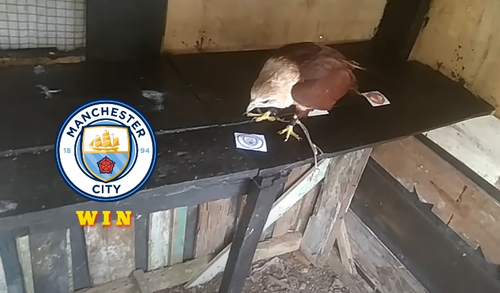 Đại bàng tiên tri dự đoán Man City vs MU, 23h30 ngày 6/3 - Ảnh 1