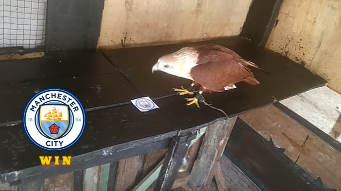 Tiên tri đại bàng dự đoán Man City vs Real Madrid, 2h ngày 27/4  - Ảnh 1