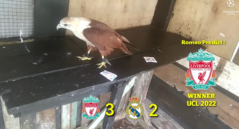 Tiên tri đại bàng dự đoán Liverpool vs Real Madrid, chung kết C1 - Ảnh 5