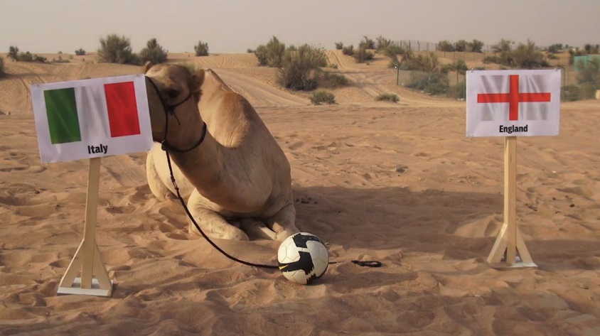 Tiên tri lạc đà dự đoán Anh vs Italia, 1h45 ngày 12/6 - Ảnh 6