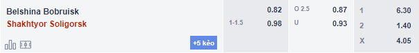 Soi kèo, dự đoán Macao Belshina vs Shakhter Soligorsk, 23h ngày 18/7 - Ảnh 5