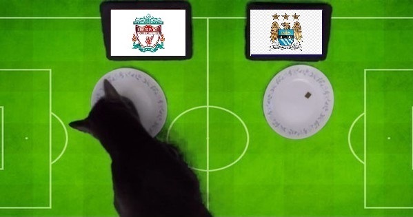 Tiên tri mèo Cass dự đoán Liverpool vs Man City, 23h ngày 30/7 - Ảnh 1
