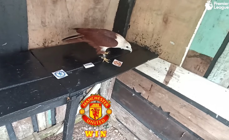 Tiên tri đại bàng dự đoán Chelsea vs MU, 23h30 ngày 22/10 - Ảnh 1