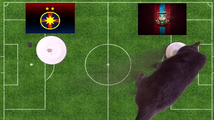 Tiên tri mèo Cass dự đoán dự đoán FCSB vs West Ham, 3h ngày 4/11 - Ảnh 1