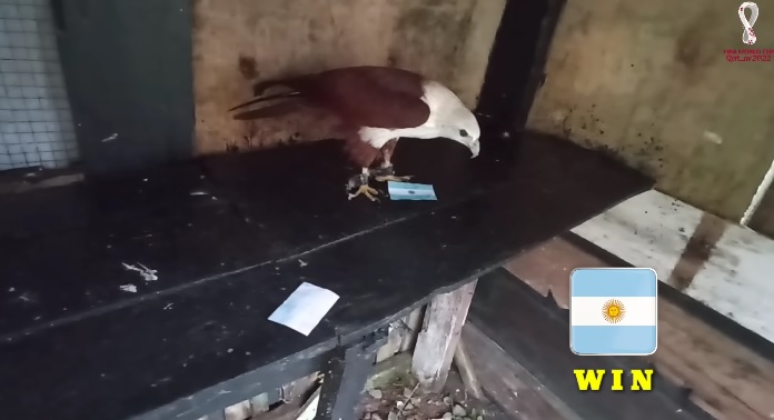 Tiên tri đại bàng dự đoán Argentina vs Croatia, 2h ngày 14/12 - Ảnh 1