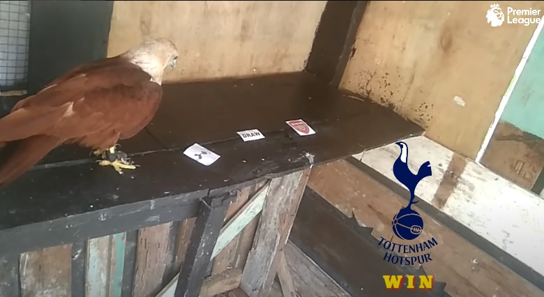 Đại bàng tiên tri dự đoán Tottenham vs Arsenal, 23h30 ngày 15/1 - Ảnh 1