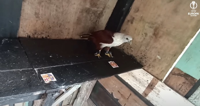 Tiên tri đại bàng dự đoán Barcelona vs MU, 0h45 ngày 17/2 - Ảnh 2