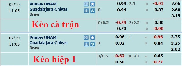 Nhận định, soi kèo UNAM Pumas vs Guadalajara, 10h10 ngày 19/2 - Ảnh 5