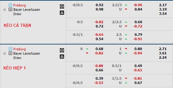 Nhận định, soi kèo Freiburg vs Leverkusen, 21h30 ngày 26/2 - Ảnh 1