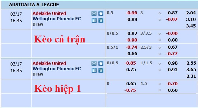 Nhận định, soi kèo Adelaide vs Wellington Phoenix, 15h45 ngày 17/3 - Ảnh 5