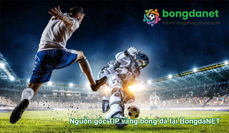 Nguồn gốc tip b&oacute;ng đ&aacute; tại BongdaNET