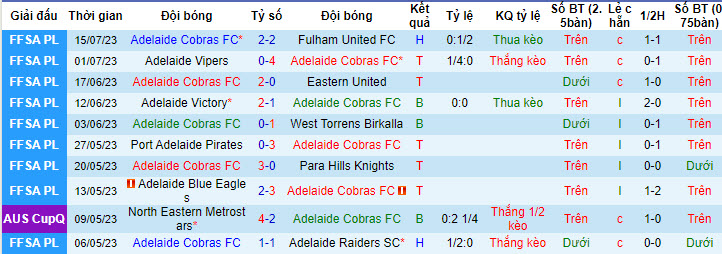 Nhận định, soi kèo Adelaide Cobras FC vs Playford City Patriots, 17h ngày 19/7 - Ảnh 1