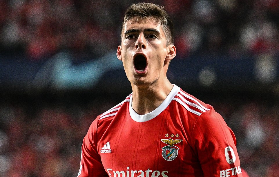 Vá hàng thủ, M.U