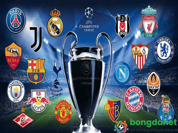 C&uacute;p C1 Ch&acirc;u &Acirc;u - Ảnh 4