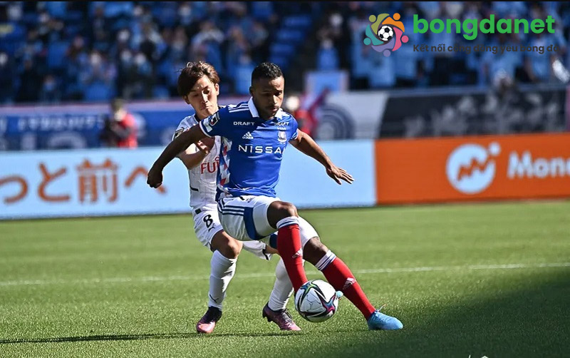 Soi k&egrave;o Nhật Bản ch&iacute;nh x&aacute;c từ những th&ocirc;ng số khoa học