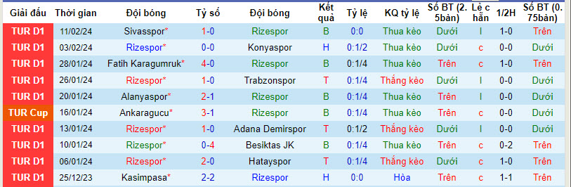Nhận định, soi kèo Rizespor với Fenerbahce, 22h59 ngày 17/02: Con mồi ưa thích - Ảnh 1