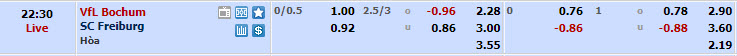 Nhận định, soi kèo Bochum với Freiburg, 21h30 ngày 10/03: Tìm lại cảm giác chiến thắng - Ảnh 1