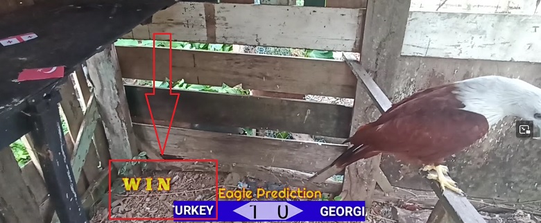 Đại bàng Romeo dự đoán Thổ Nhĩ Kỳ vs Georgia, 23h00 ngày 18/6 - Ảnh 2