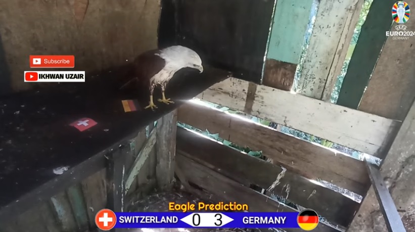 Đại bàng tiên tri dự đoán Thụy Sĩ vs Đức, 2h00 ngày 24/6 - Ảnh 1
