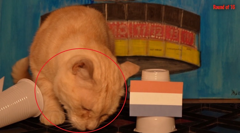 Mèo Sam dự đoán Romania vs Hà Lan, 23h00 ngày 2/7 - Ảnh 2