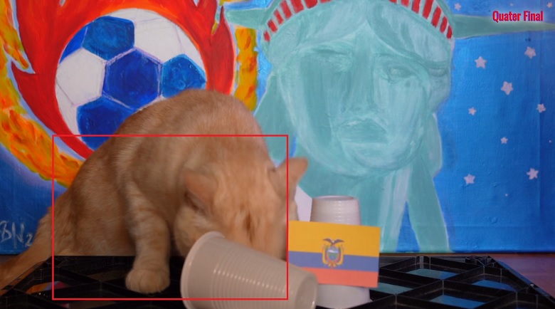 Mèo Sam dự đoán Argentina vs Ecuador, 08h00 ngày 5/7 - Ảnh 2