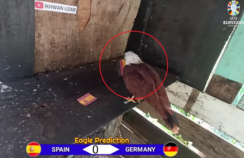 Đại bàng Romeo dự đoán Tây Ban Nha vs Đức, 23h00 ngày 5/7 - Ảnh 2