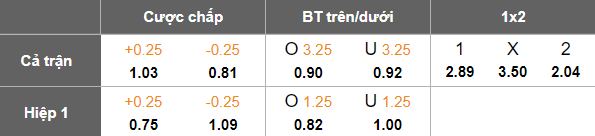 Nhận định, soi kèo U19 Hoffenheim vs U19 Man City, 20h00 ngày 5/3: Tin vào chủ nhà - Ảnh 4