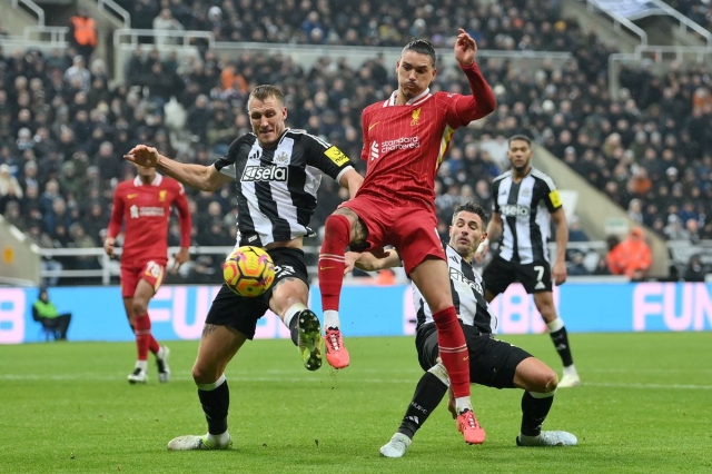 Chuy&ecirc;n gia Tony Ansell dự đo&aacute;n Newcastle vs Liverpool, 23h30 ng&agrave;y 16/3 - Ảnh 1