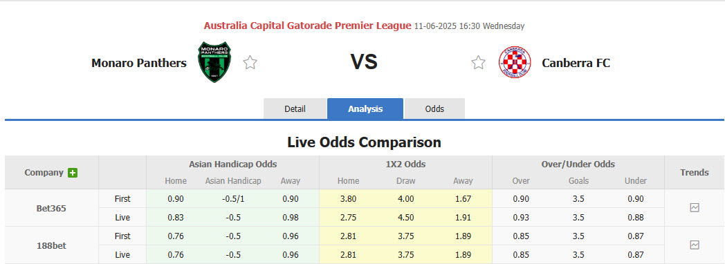 Nhận định, soi kèo Monaro Panthers vs Canberra Croatia, 16h30 ngày 11/6: Độc chiếm ngôi đầu - Ảnh 1