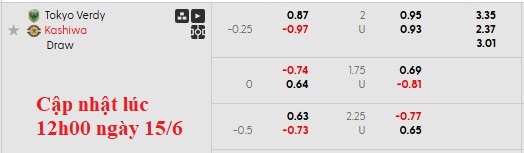 Nhận định, soi kèo Tokyo Verdy vs Kashiwa Reysol, 16h00 ngày 15/6: Chủ nhà có điểm - Ảnh 6