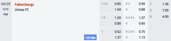 Nhận định, soi kèo Falkenbergs vs Umea FC, 20h00 ngày 29/6: Khó có bất ngờ - Ảnh 1