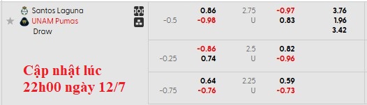 Nhận định, soi kèo Santos Laguna vs Pumas UNAM, 8h00 ngày 13/7: Đầu xuôi đuôi lọt - Ảnh 6