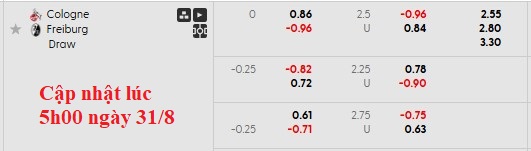 Nhận định, soi kèo Koln vs Freiburg,0h30 ngày 1/9: Ngang cơ - Ảnh 5