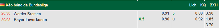 Nhận định, soi kèo Werder Bremen vs Bayer Leverkusen, 20h30 ngày 30/8: Dễ hòa - Ảnh 1