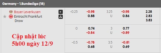 Nhận định, soi kèo Leverkusen vs Frankfurt, 1h30 ngày 13/9: Thay tương.. nhưng chưa đổi vận - Ảnh 5