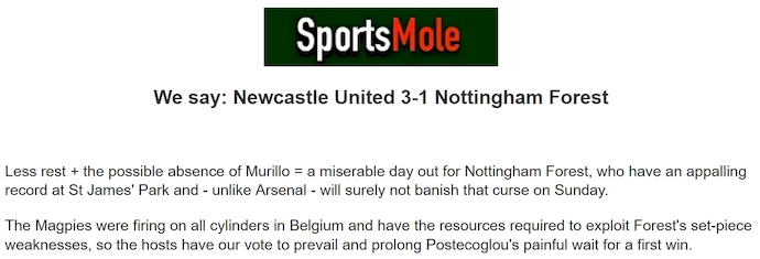 Chuyên gia Tony Ansell dự đoán Newcastle vs Nottingham, 20h00 ngày 5/10 - Ảnh 1
