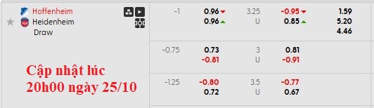 Nhận định, soi kèo Hoffenheim vs Heidenheim, 20h30 ngày 25/10: Chiến thắng đầu tay - Ảnh 6