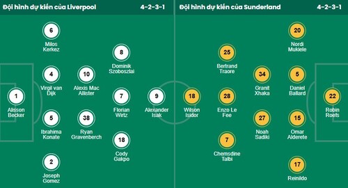 Nhận định, soi kèo Liverpool vs Sunderland - Ảnh 1