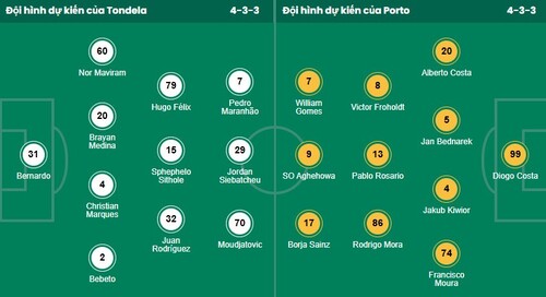 Nhận định, soi kèo Tondela vs Porto - Ảnh 1