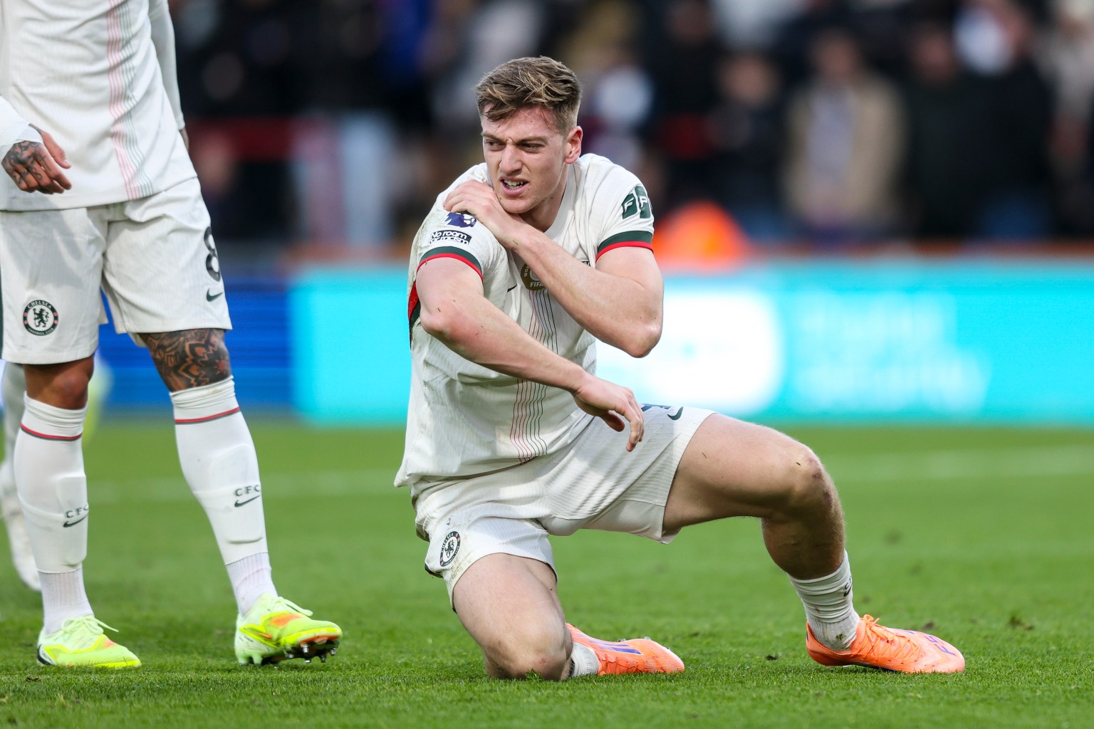 Chelsea tiếp tục mất Liam Delap d&agrave;i hạn v&igrave; chấn thương vai - Ảnh 1