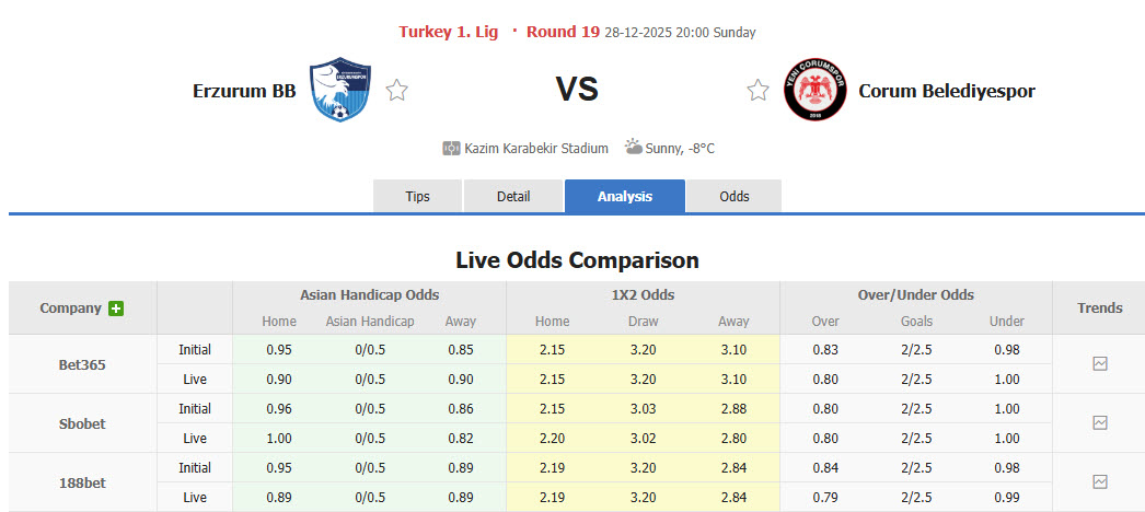 Nhận định, soi kèo Erzurumspor vs Corum, 20h00 ngày 28/12: Vượt mặt đối thủ - Ảnh 1