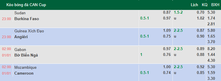 Nhận định, soi kèo Gabon vs Bờ Biển Ngà, 2h00 ngày 1/1: Khó có bất ngờ - Ảnh 1