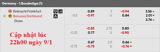 Nhận định, soi kèo Frankfurt vs Dortmund, 2h00 ngày 10/1: Sa lầy ở Deutsche Bank Park - Ảnh 9