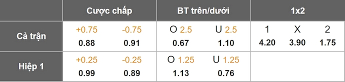 Nhận định, soi kèo Wolves vs Newcastle, 21h00 ngày 18/1: Phong độ đang lên - Ảnh 1